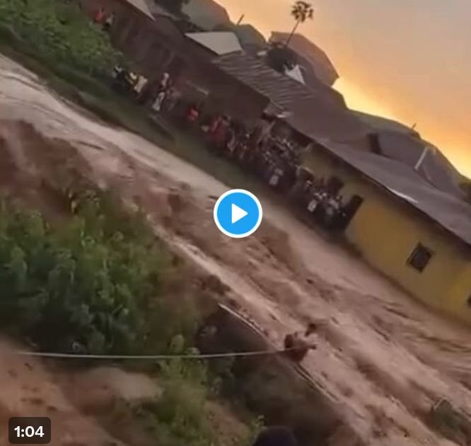 VIDEO: Heartbreaking Moment as Lady Swept Away by Floodwaters Despite Rescue Attempts